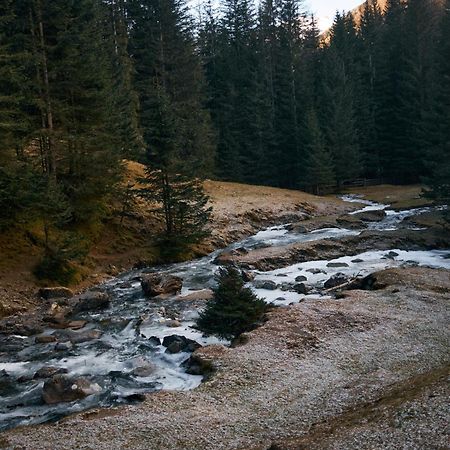 Stelza Nature Chalet Val di Vizze Bagian luar foto
